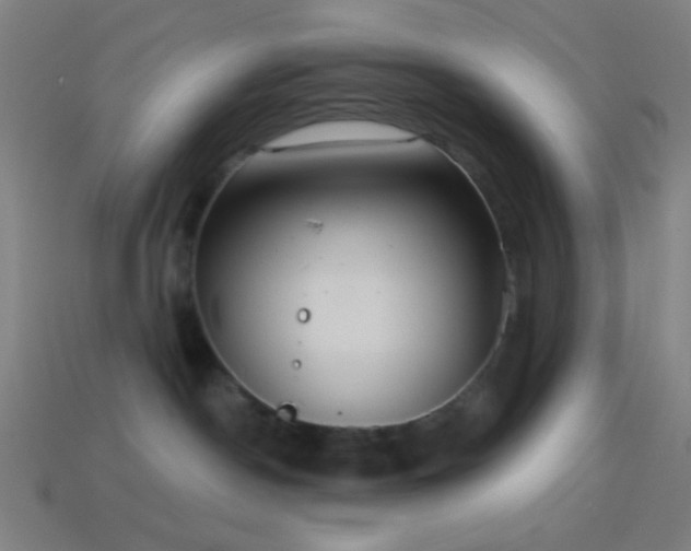X0000114420190200910161236