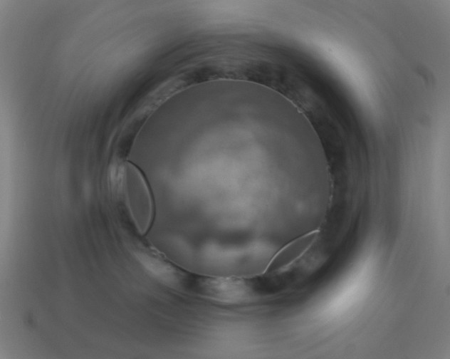 X0000114420191200910161236