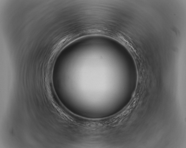 X0000114420193200910161236