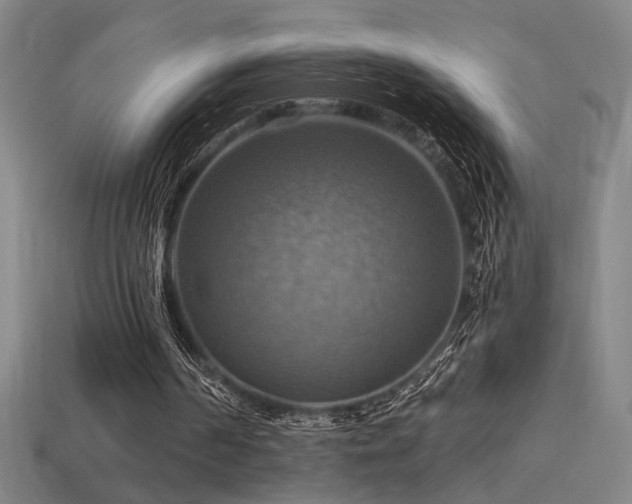 X0000114420194200910161236