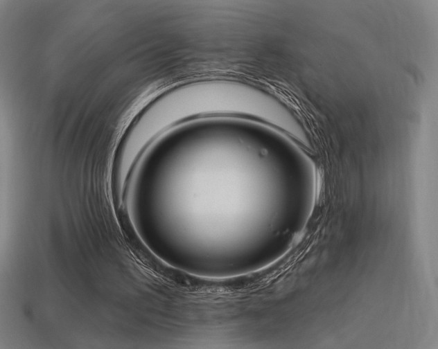 X0000114420195200910161236