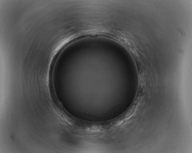 X0000114420196200910161236