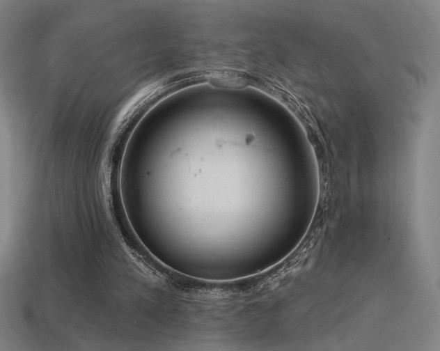 X0000114420197200910161236