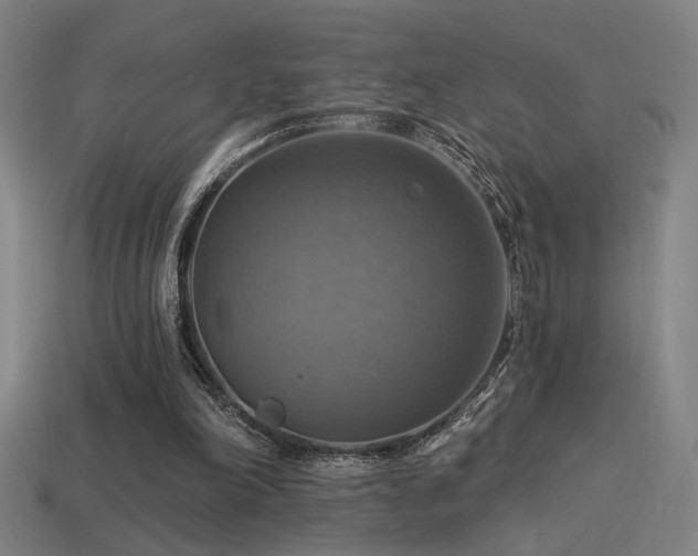 X0000114420198200910161236