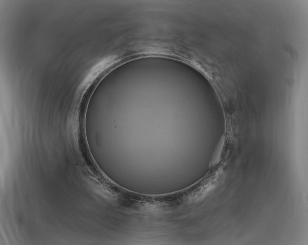 X0000114420199200910161236