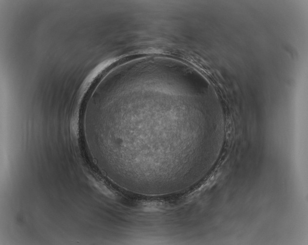 X0000114420200200910161236