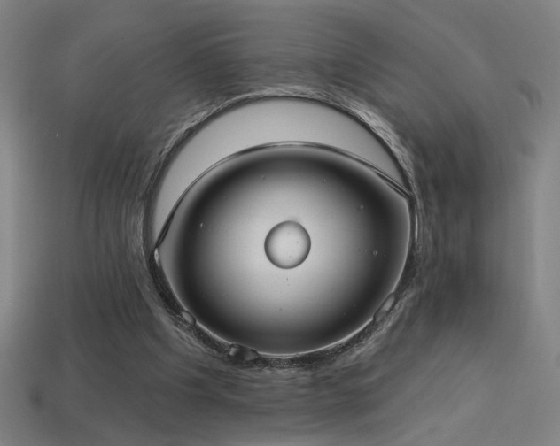 X0000114420201200910161236