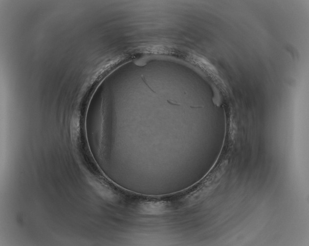 X0000114420202200910161236