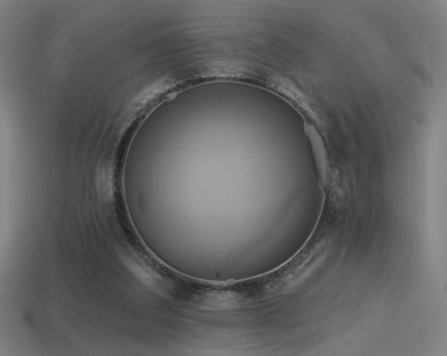 X0000114420203200910161236