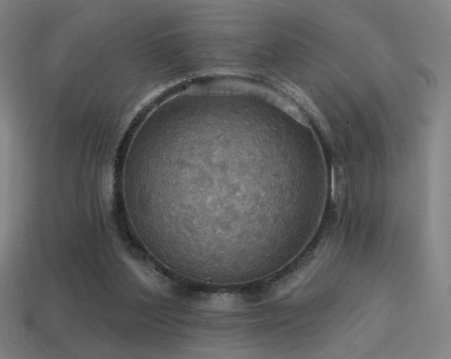 X0000114420204200910161236