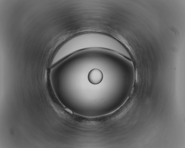 X0000114420205200910161236