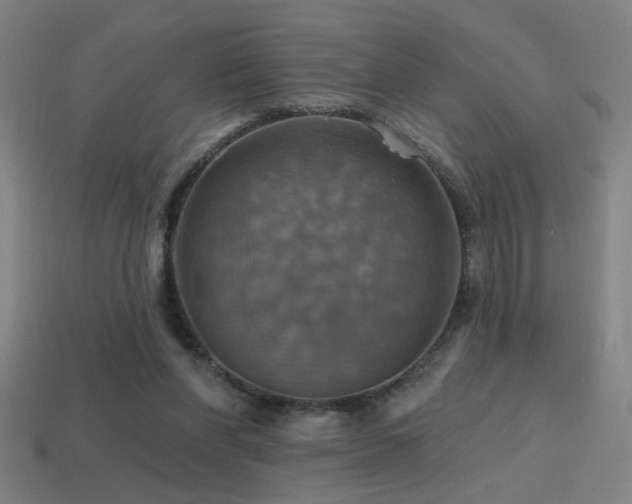 X0000114420206200910161236