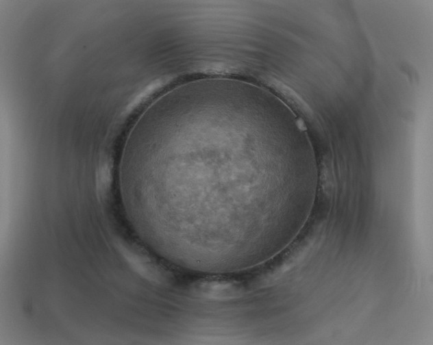 X0000114420208200910161236