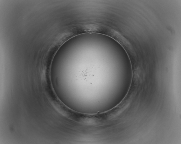 X0000114420209200910161236