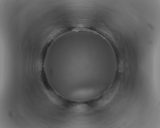 X0000114420210200910161236