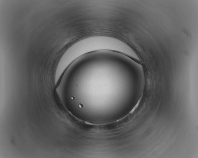 X0000114420211200910161236