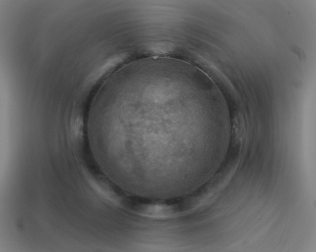 X0000114420212200910161236