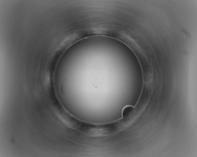 X0000114420213200910161236