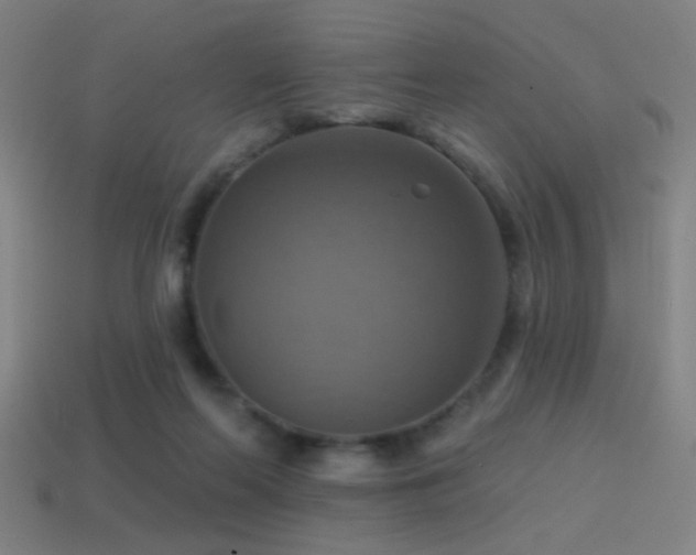 X0000114420214200910161235