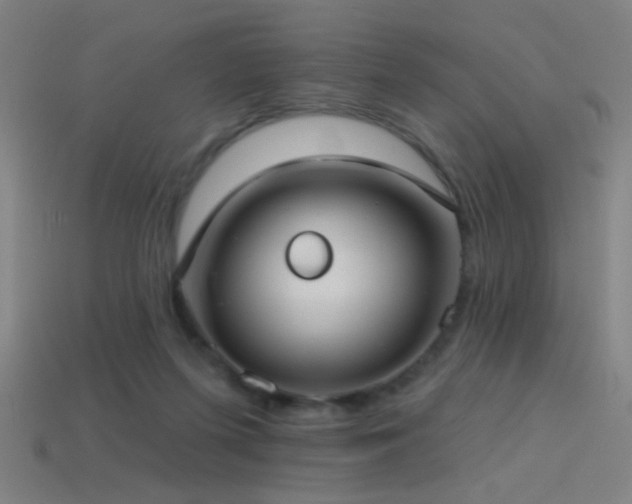 X0000114420215200910161235