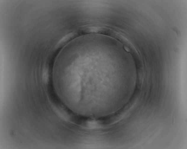 X0000114420216200910161235