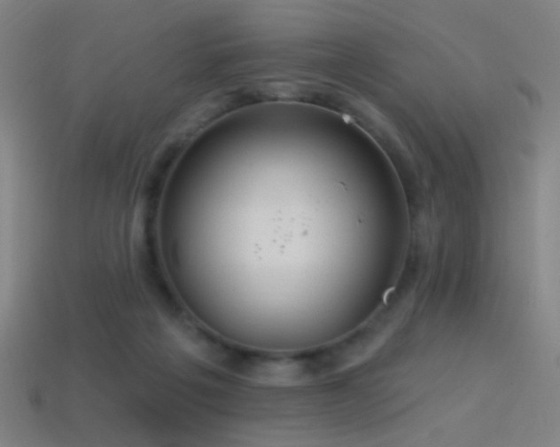 X0000114420217200910161235