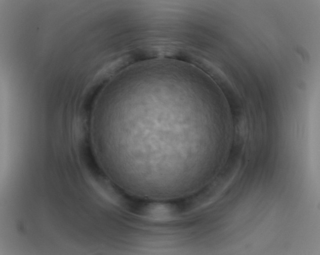 X0000114420218200910161235