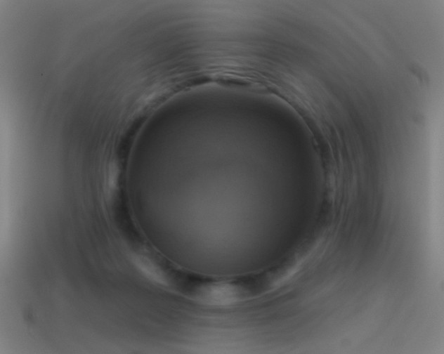 X0000114420219200910161235