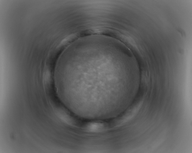X0000114420220200910161235