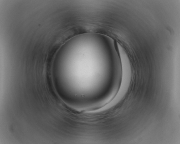 X0000114420221200910161235