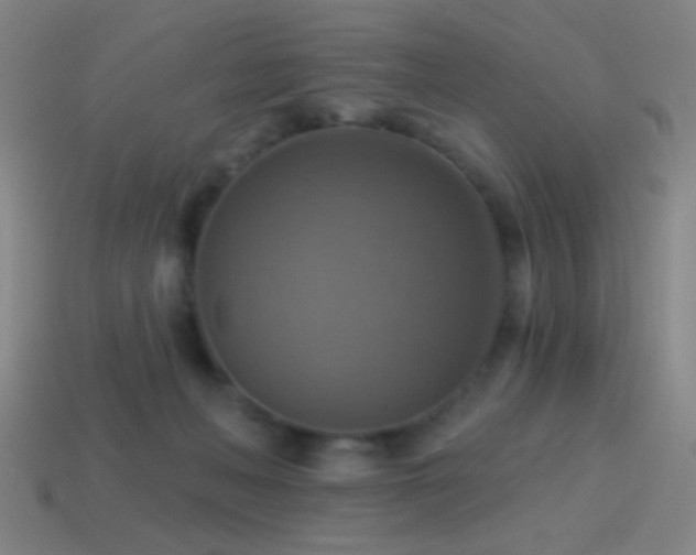 X0000114420222200910161235