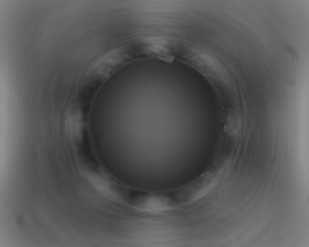 X0000114420223200910161235