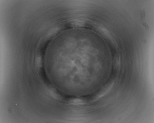 X0000114420224200910161235