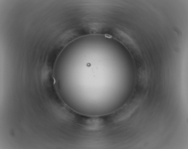 X0000114420225200910161235