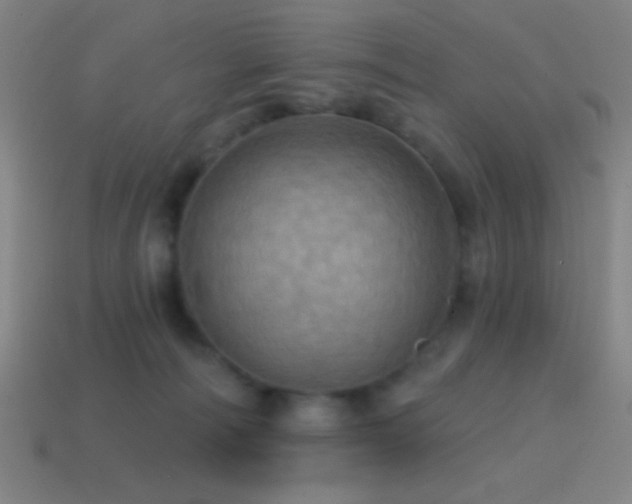 X0000114420226200910161235