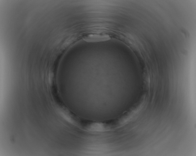 X0000114420227200910161235