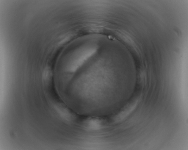 X0000114420228200910161235