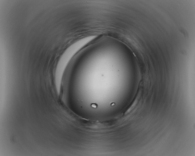 X0000114420229200910161235