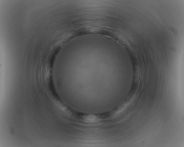 X0000114420230200910161235