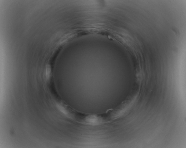 X0000114420231200910161235