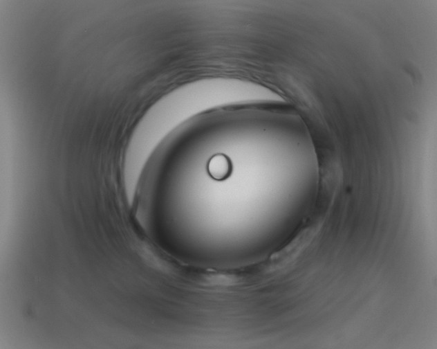X0000114420233200910161235
