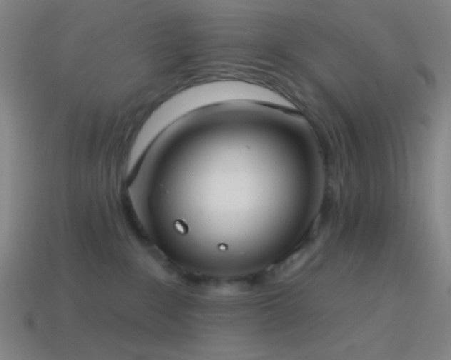 X0000114420235200910161235