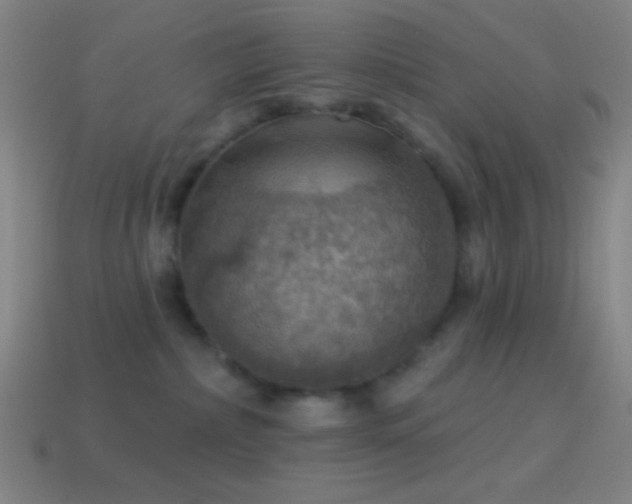 X0000114420236200910161235