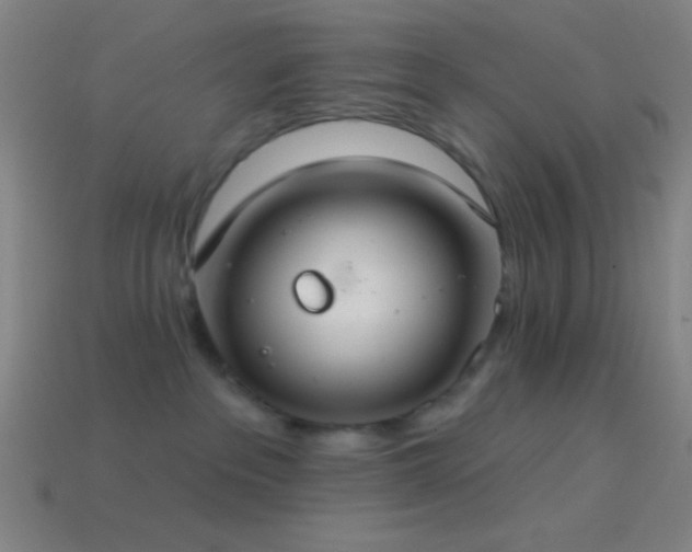 X0000114420237200910161235