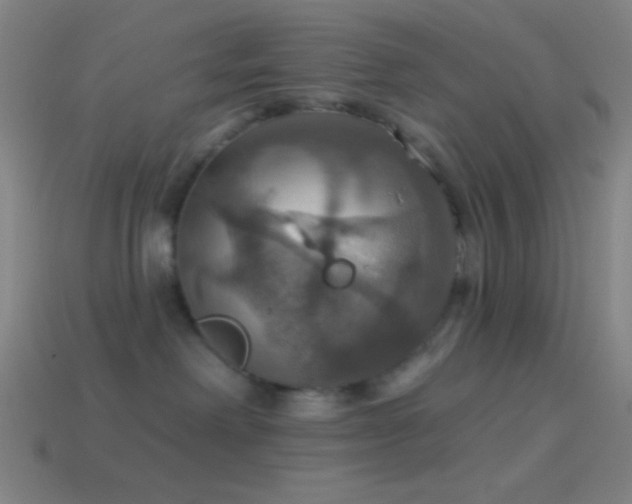 X0000114420238200910161235