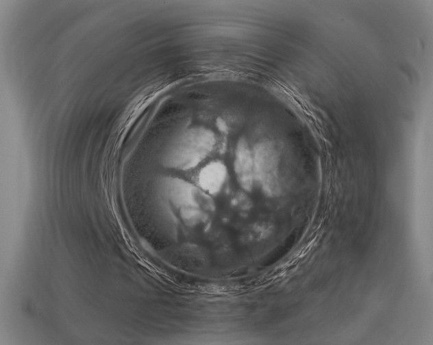 X0000114420241200910161234