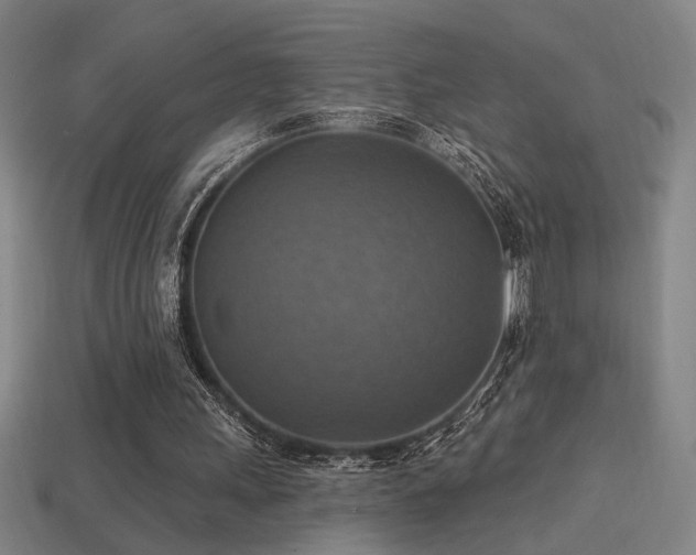 X0000114420243200910161234