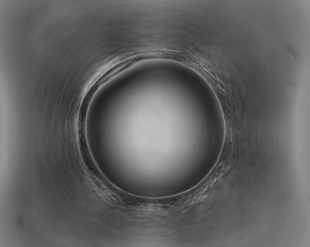 X0000114420244200910161234