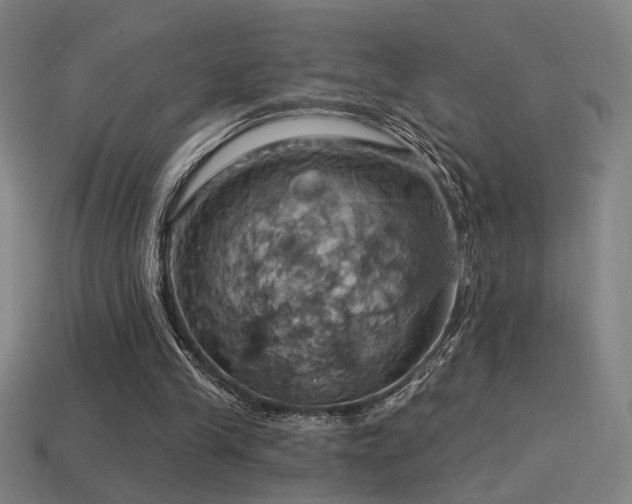 X0000114420245200910161234