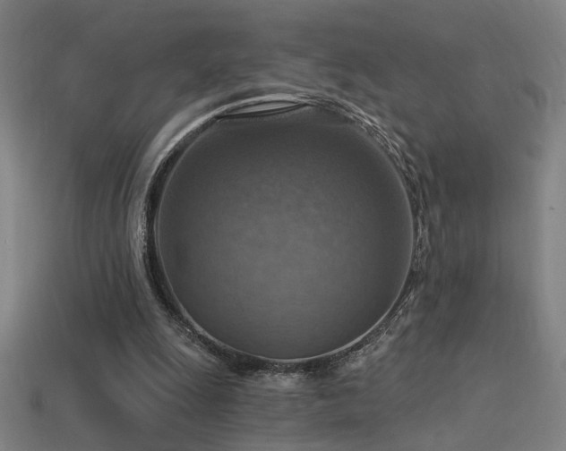 X0000114420247200910161234